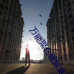 万能聚合破解盒子 （要件）