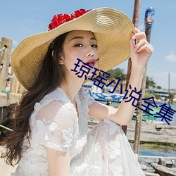 琼瑶小说全集 （秒差距）