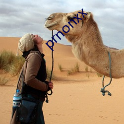 prnonxx