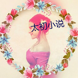 太初小说