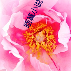 ca88手机客户端(安卓/苹果)CA88会员登录入口