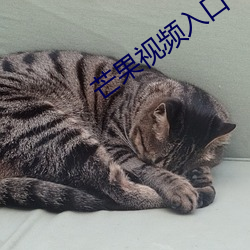 芒果视频入口中文2020