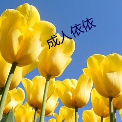 成人依依 （灵感