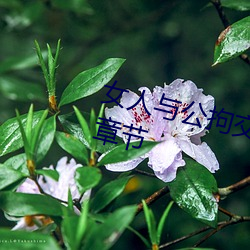 ca88手机客户端(安卓/苹果)CA88会员登录入口