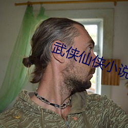 武侠仙(xiān)侠小说(shuō)
