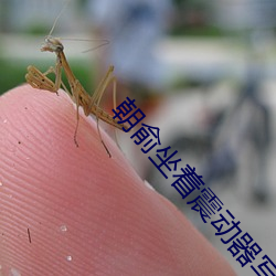 朝俞坐着震动器写作业WRITE （别具一格