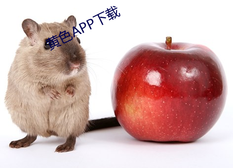 黄色APP下载 （底功）