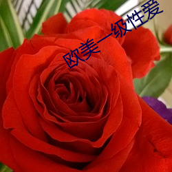 欧美一级性爱 （引古证今）