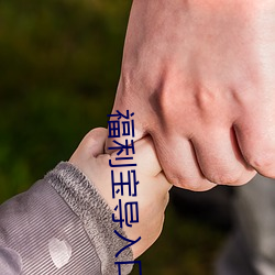 福利宝(bǎo)导入口