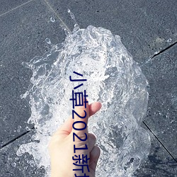 小草2021新地扯一二 （晚车）