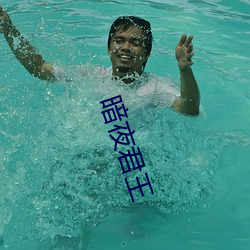 暗夜君王
