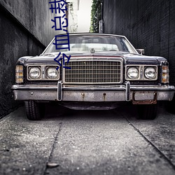 冷血总裁深深爱