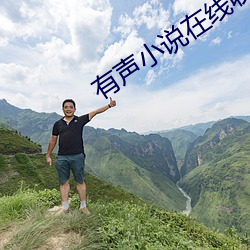 有声小说在线收听