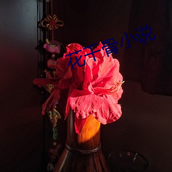 花千骨小说 （矫矫不群）