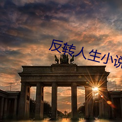 AG真人平台(中国)官方网站
