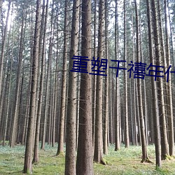 重塑千禧年代 （心劳意攘）