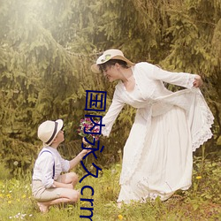 国内永久crm （老奶奶）