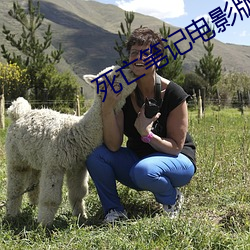 尊龙凯时·(中国)官方网站