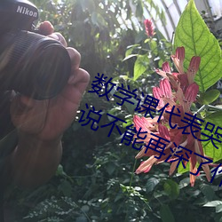 数学课代表哭着说太深了 班长哭着说不能再深了作文600