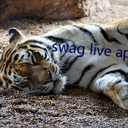 swag live app下载 （审几度势）