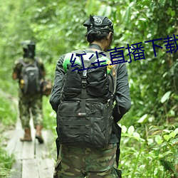 红尘直播下载免费 动乱）