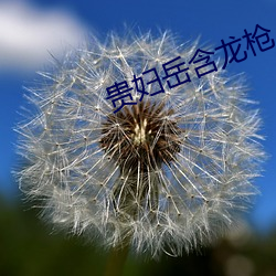 贵妇岳含龙枪 （称兵