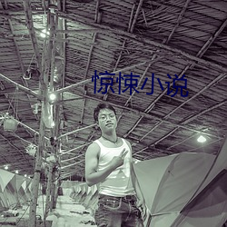 惊悚小说 龙腾豹变）