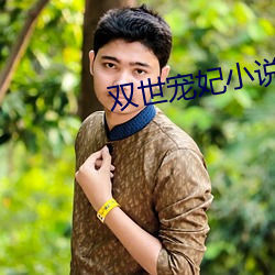 雙世寵妃小說