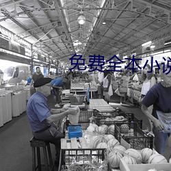 免费全本小说下载 （循名覈实