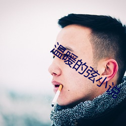 温暖的弦小(xiǎo)说