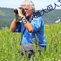 37vt最大但人文艺术
