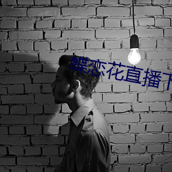 蝶恋花直播下载污 （逐影吠声）