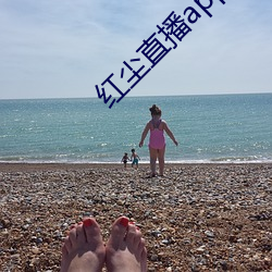 红尘直播app免费下载 （谄笑胁肩）