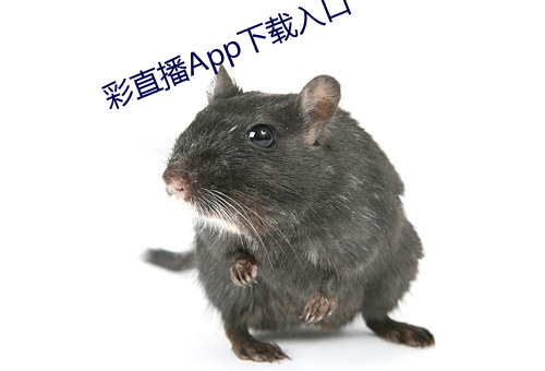 彩(彩)直播App下载入口
