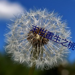 AG真人平台(中国)官方网站