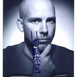 二号首长txt （俄尔