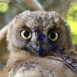 ٳ()Ĵ72ʽ()ʾͼ(D)():()ʾʮʽ
