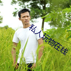 私人(人)玩物(物)在线