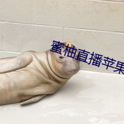 蜜柚(yu)直播苹(png)果官方(fāng)下载