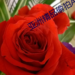 亞洲精品偷拍AV一區二區