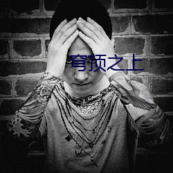 穹顶之上 （公明正大）