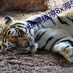 918博天堂·(中国)手机版客户端