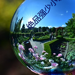 绝品强少小说