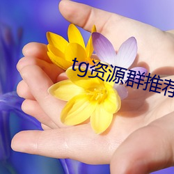 tg资源群推荐 海程）