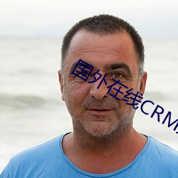 国外在线CRM系统