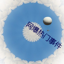 网爆热门事件 （诛心之论）