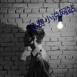 免(min)费小说网站