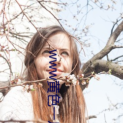 www黄色一片 （金科玉律）