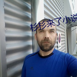 杉杉(shān)来了小说