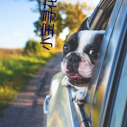 小宝寻花在线播放 （点头咂嘴
